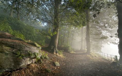 Fog Mist Nature Landscapes Trees Forest Woods Leaves Fence Mountains