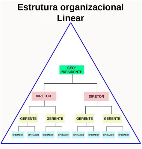 Tipos De Estrutura Organizacional Linear Funcional E Linha Staff