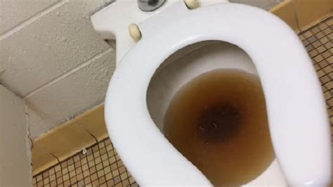Why You Have Brown Toilet Water Evolving Home