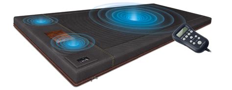 BioAcoustic Mat | Biomat Health | Biomat, Amethyst biomat, Healing arts