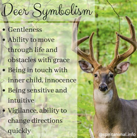 Deer Spirit Animal Deer Totem Meaning Animal Totem Spirit Guides