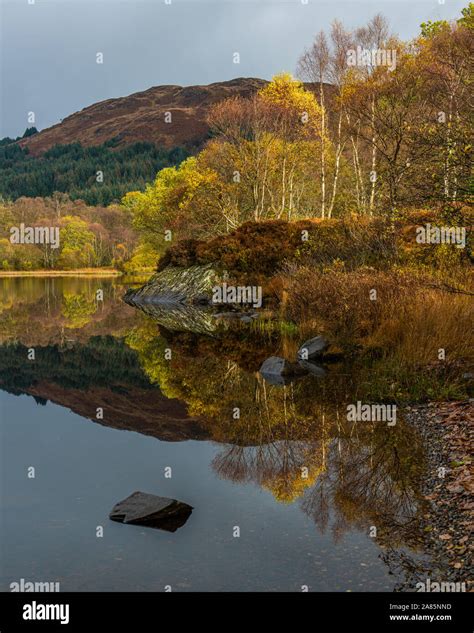 Autumn Trees In Full Colour And Their Reflections In Loch Chon