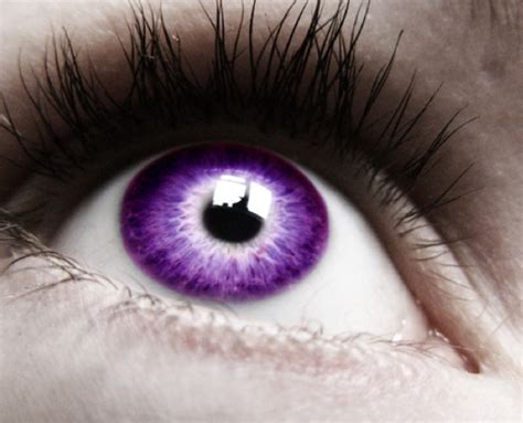 17 Best Images About Purple Eyes On Pinterest Canada Splash Of Color