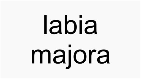 how to pronounce labia majora youtube