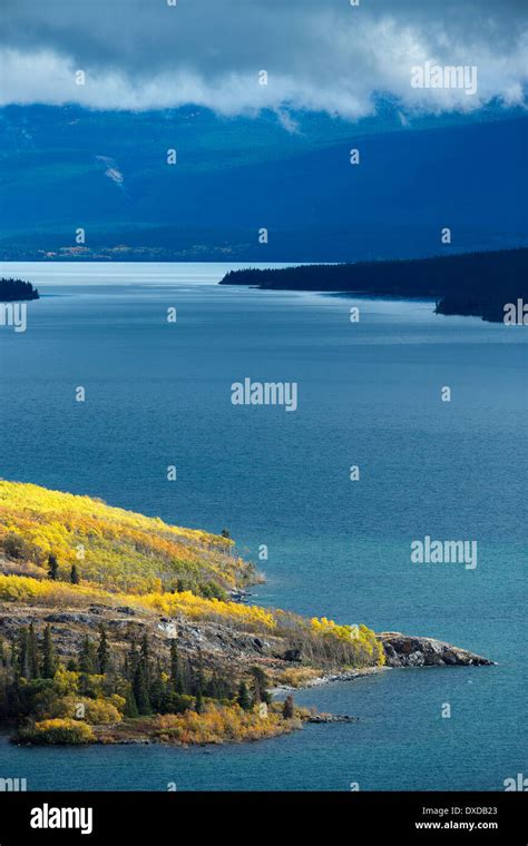 Bove Island Tagish Lake Yukon Territories Canada Stock Photo Alamy