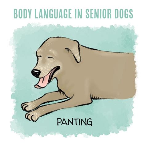 What Dog Body Language Means