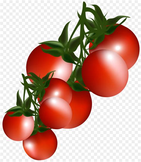 الكرز الطماطم روما الطماطم الخضار صورة بابوا نيو غينيا