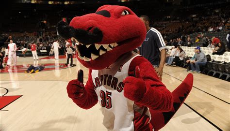 Toronto Raptors Announce The Raptor Mascot Sidelined For The Season