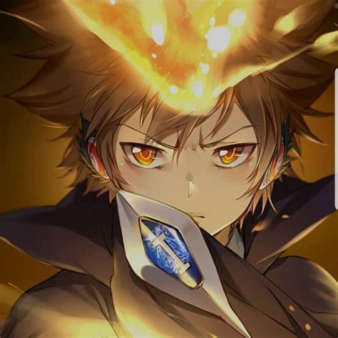 Pin By Skylark On Tsuna 10th Generation Vongola Guardian Of Sky