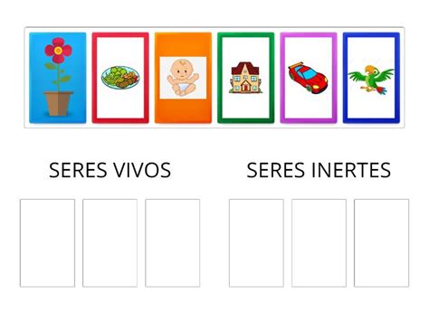 Los Seres Vivos E Inertes Ordenar Por Grupo
