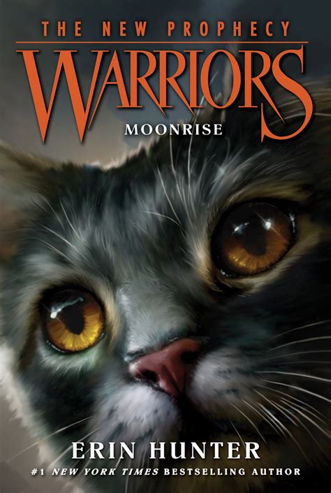 Moonrise By Erin Hunter And Dave Stevenson Book Read Online