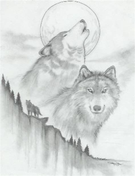 Нарисовать карандашом волк Как нарисовать волка карандашом поэтапно 14