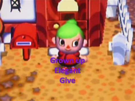 Native fruit will net 100 bells each when sold to tom nook at his store. Animal Crossing City Folk Girl Hairstyles - YouTube