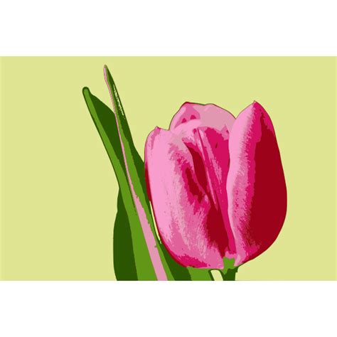 Tulip Flower Svg