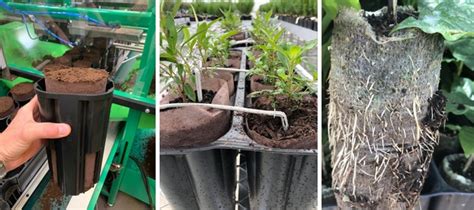 Air Pruning Containers Offer Labor And Health Benefits As Well