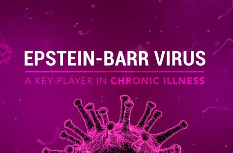 Fighting And Treating Chronic Epstein Barr Virus Cebv Deeper Healing