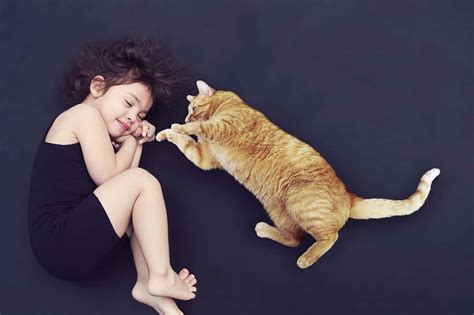 Tips For Keeping The Peace In A House With Cats And Kids Cole And Marmalade