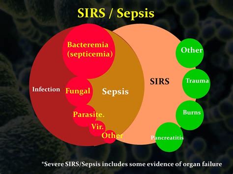Severe Sepsis And Septic Shock