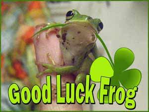 High quality art prints by independent artists and designers from around the world. Frog Luck, Bringing Changes and Abundance to Life