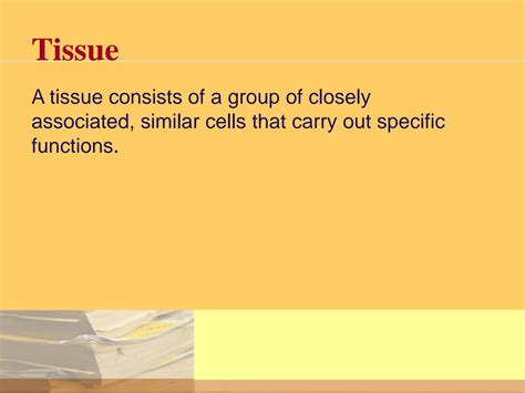 Solution Bio 101 Types Of Tissues Studypool