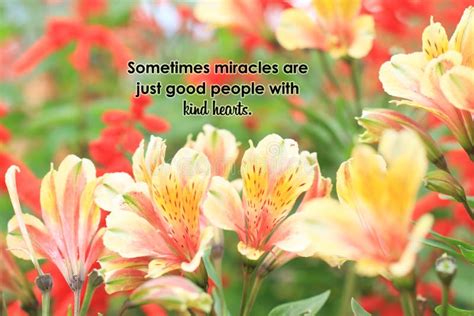 Inspirational Quote Sometimes Miracles Are Just Good People With Kind