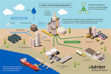CCS Ammonia – Page 4 – Ammonia Energy Association