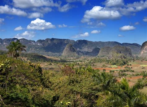 Cuba Tropical Nature Of Vinales Valleylandscape In A Sunny Day Stock