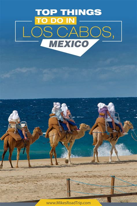 Top Things To Do In Los Cabos Mexico Video Included Los Cabos Los