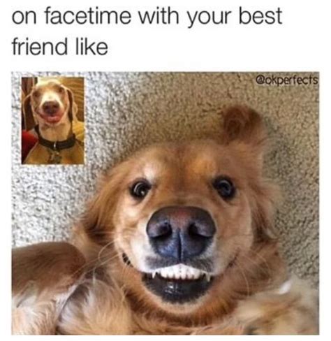 Good jokes to say to your friends. 20 Funny Best Friend Memes That'll Win Your Heart ...