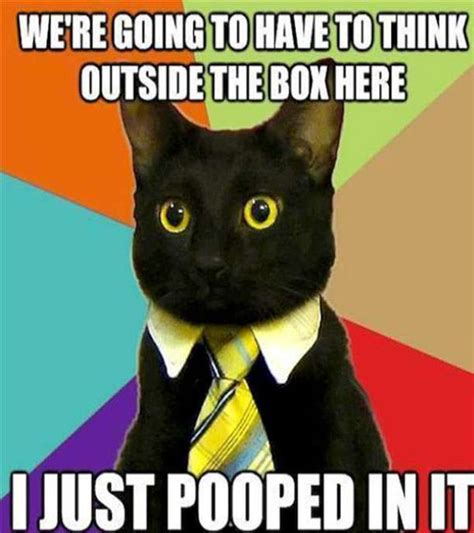 Random Funny Memes Business Cat Business Cat Meme Cat Memes