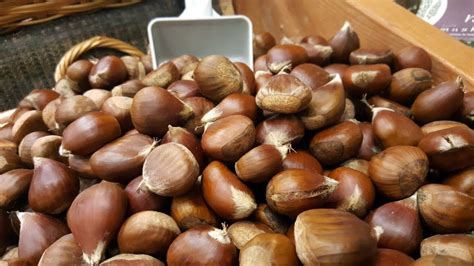 Wonderful Benefits Of Hazelnuts For Skin Hair And Health Nnhc