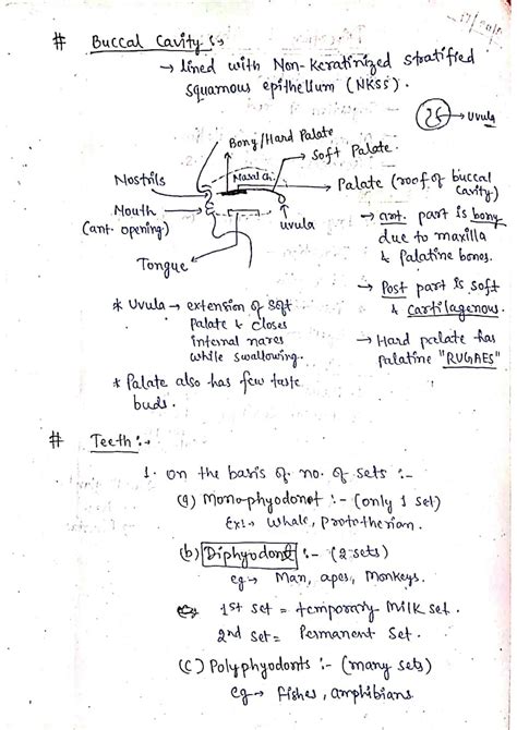 Solution Digestion And Absorption Handwritten Notes English Studypool