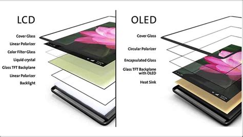 Oled Market Insights A Glimpse Into The Future Of Display Technology