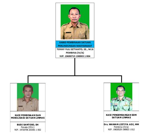 Struktur Organisasi Bidang Limnas Dinas Satpol Pp Provinsi Jateng