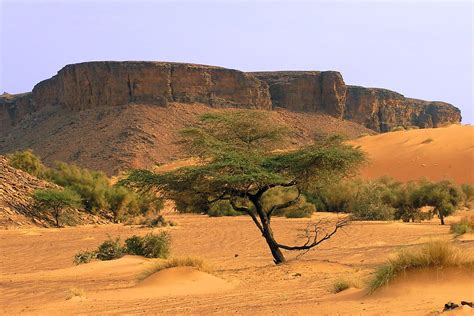 Travel And Adventures Mauritania موريتانيا A Voyage To Mauritania