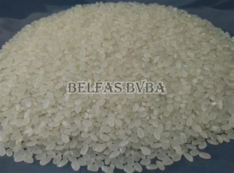 Japonica Rice Manufacturerjaponica Rice Exporter And Supplier In Belgium