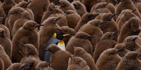 Mike Reyfman Photography Fine Art Prints Stock Images Nature