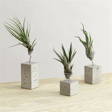 Diy Inspiration Concrete Wire Air Plant Holders Air