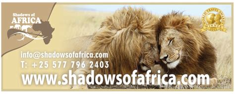 Shadows Of Africa Ujumbe Ink Ltd