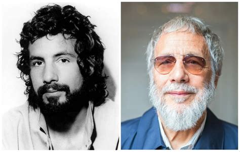 Cat Stevens Net Worth Age Real Name Wife Songs Albums Biography