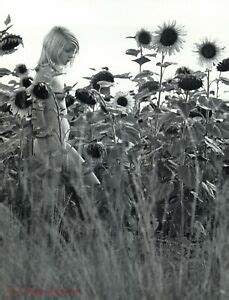1960 Vintage Female Nude Hippie Girl Sunflowers By KARL DE HAAN Photo