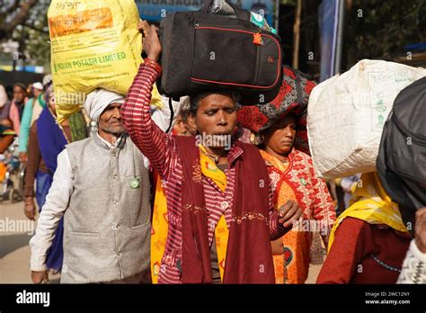 Kolkata, India. 12th Jan, 2024. As the countdown to Makar Sankranti