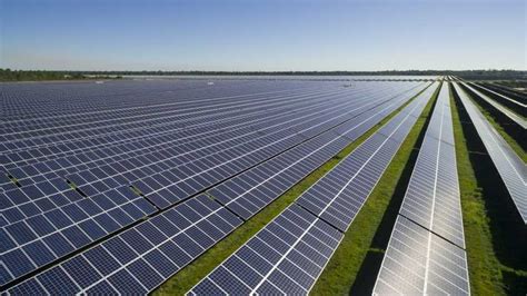 Are There Bright Futures In Solar Farming Growing Produce