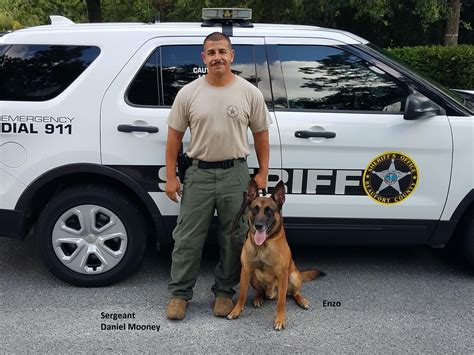 Beaufort County Sheriff’s Office K9 Ares And Enzo To Get Donation Of Body Armor Beaufort County