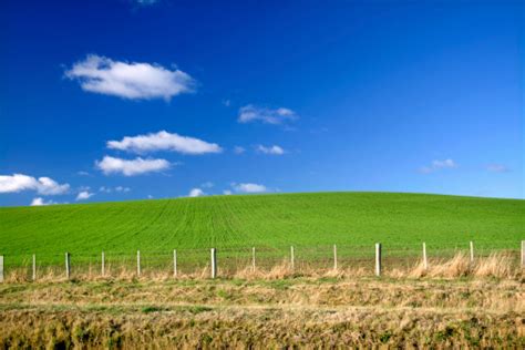 Green Field And Blue Sky Stock Photo Download Image Now Istock