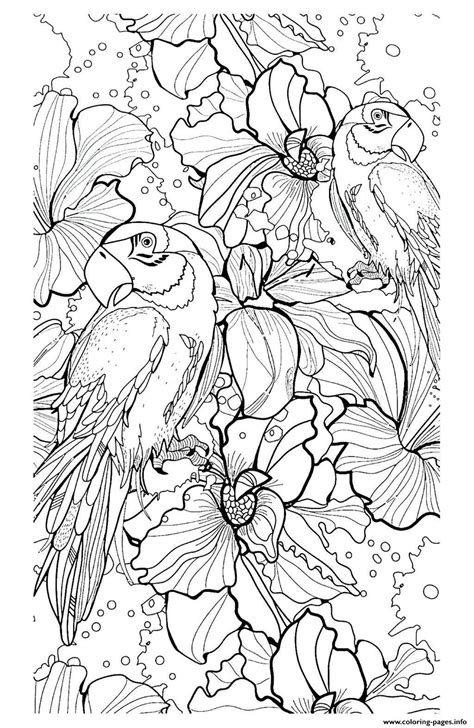 Adult Parrot Difficult Coloring Pages Printable