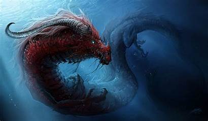 Dragon Underwater Dragons Chinese Wallpaperup Sign Log