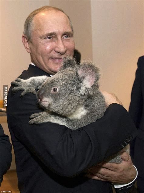 Putin bear ugly christmas sweater christmas blyat sweatshirt. Vladimir Putin hugs a koala bear at G20 Summit - 9GAG
