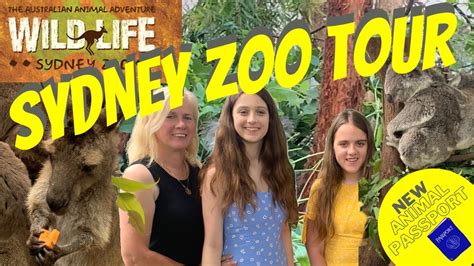 Sydney Wild Life Zoo Tour 2021 Full Walk Through Youtube