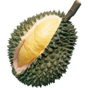 I tried them in vietnam for. Durian - 1001Fruits.net